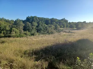 Istra,Tinjan - Građevinsko zemljište 5459 m2 + poljoprivredno 1776 m2