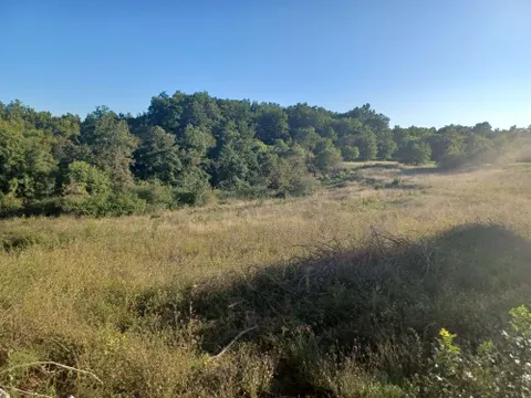 Istra,Tinjan - Građevinsko zemljište 5459 m2 + poljoprivredno 1776 m2