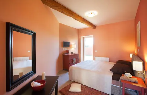 Istra, Vodnjan - Prekrasna kamena vila 230 m2
