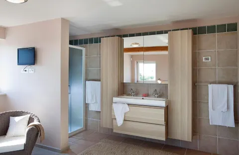 Istra, Vodnjan - Prekrasna kamena vila 230 m2