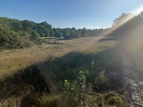 Istra,Tinjan - Građevinsko zemljište 5459 m2 + poljoprivredno 1776 m2