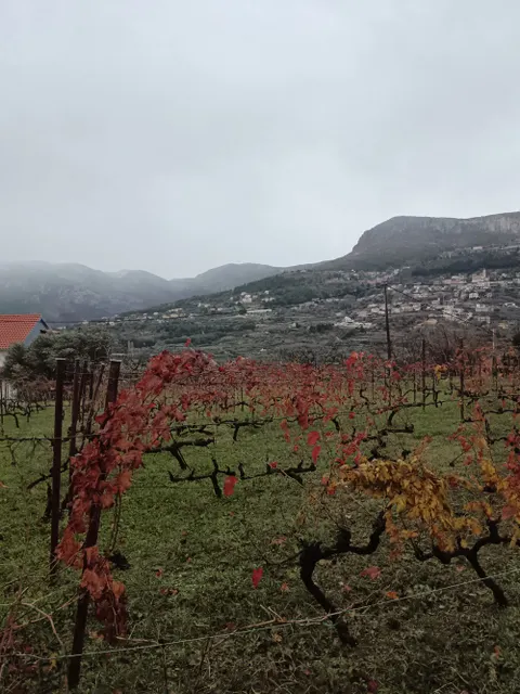 Split, Klis - građevinsko zemljište 1135 m2