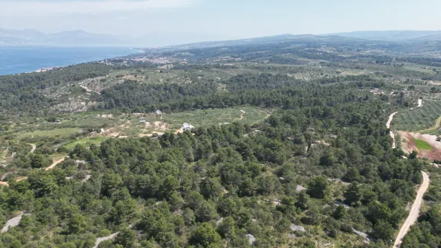 Brač, Sutivan - Poljoprivredno zemljište (24.504 m2) s mogućnošću gradnje