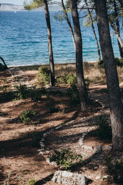 Hvar, Maslina Resort - Luksuzna "Vila Borovina"