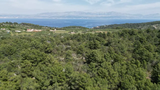 Brač, Sutivan - Poljoprivredno zemljište (24.504 m2) s mogućnošću gradnje