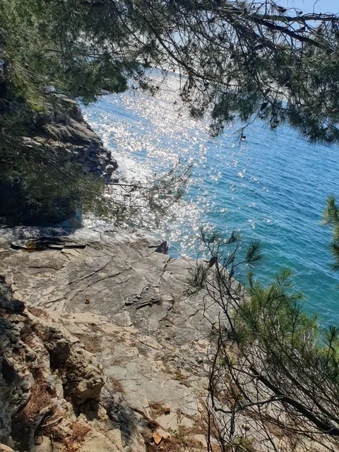 Istra, Pula - Luksuzna vila 250 m2 s pogledom na Brijune