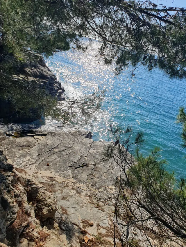 Istra, Pula - Luksuzna vila 250 m2 s pogledom na Brijune