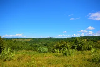 Istra, Buje - Građevinsko zemljište 880 m2
