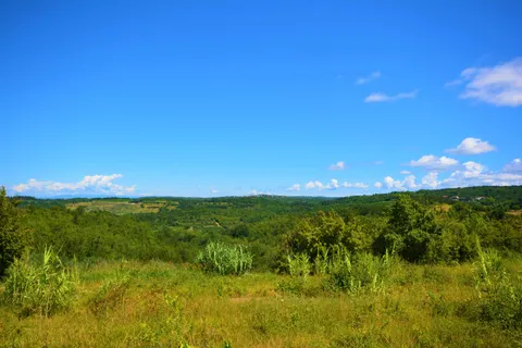 Istra, Buje - Građevinsko zemljište 880 m2