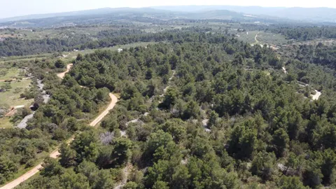 Brač, Sutivan - Poljoprivredno zemljište (24.504 m2) s mogućnošću gradnje