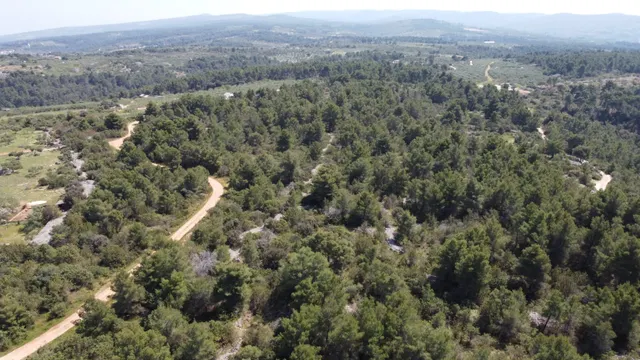 Brač, Sutivan - Poljoprivredno zemljište (24.504 m2) s mogućnošću gradnje