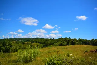 Istra, Buje - Građevinsko zemljište 880 m2