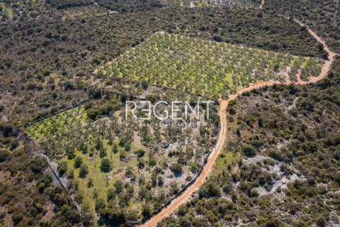Trogir, Marina- luksuzna vila u mirnom okruženju, 6900m2