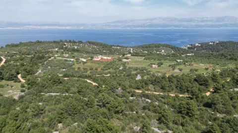 Brač, Sutivan - Poljoprivredno zemljište (24.504 m2) s mogućnošću gradnje