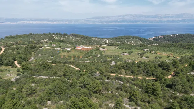 Brač, Sutivan - Poljoprivredno zemljište (24.504 m2) s mogućnošću gradnje