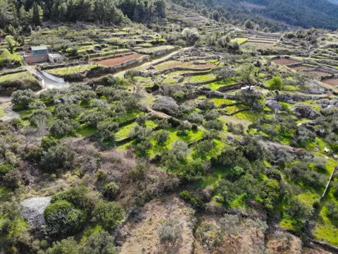 Hvar – Zemljište s projektom za tri luksuzne vile