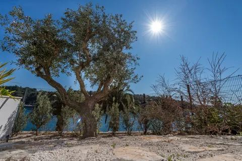 Brač, Milna - Moderna vila prvi red uz more, 264 m2