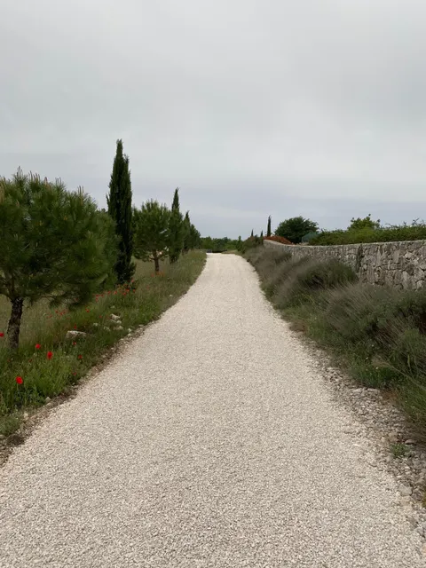 Istra, Kanfanar - Autentična kamena kuća predivnog okruženja