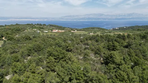 Brač, Sutivan - Poljoprivredno zemljište (24.504 m2) s mogućnošću gradnje