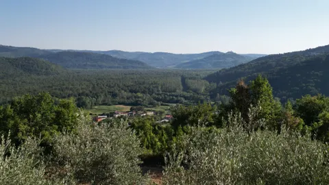 Istra, Gradinje - Građevinsko i poljoprivredno zemljište s panoramskim pogledom