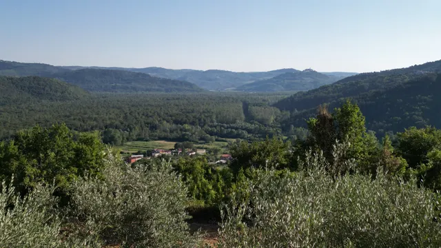 Istra, Gradinje - Građevinsko i poljoprivredno zemljište s panoramskim pogledom