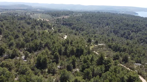 Brač, Sutivan - Poljoprivredno zemljište (24.504 m2) s mogućnošću gradnje