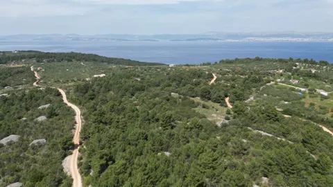 Brač, Sutivan - Poljoprivredno zemljište (24.504 m2) s mogućnošću gradnje